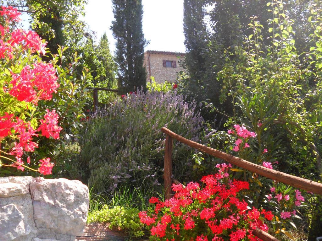 Agriturismo Roccagelli Vallo di Nera Exteriör bild
