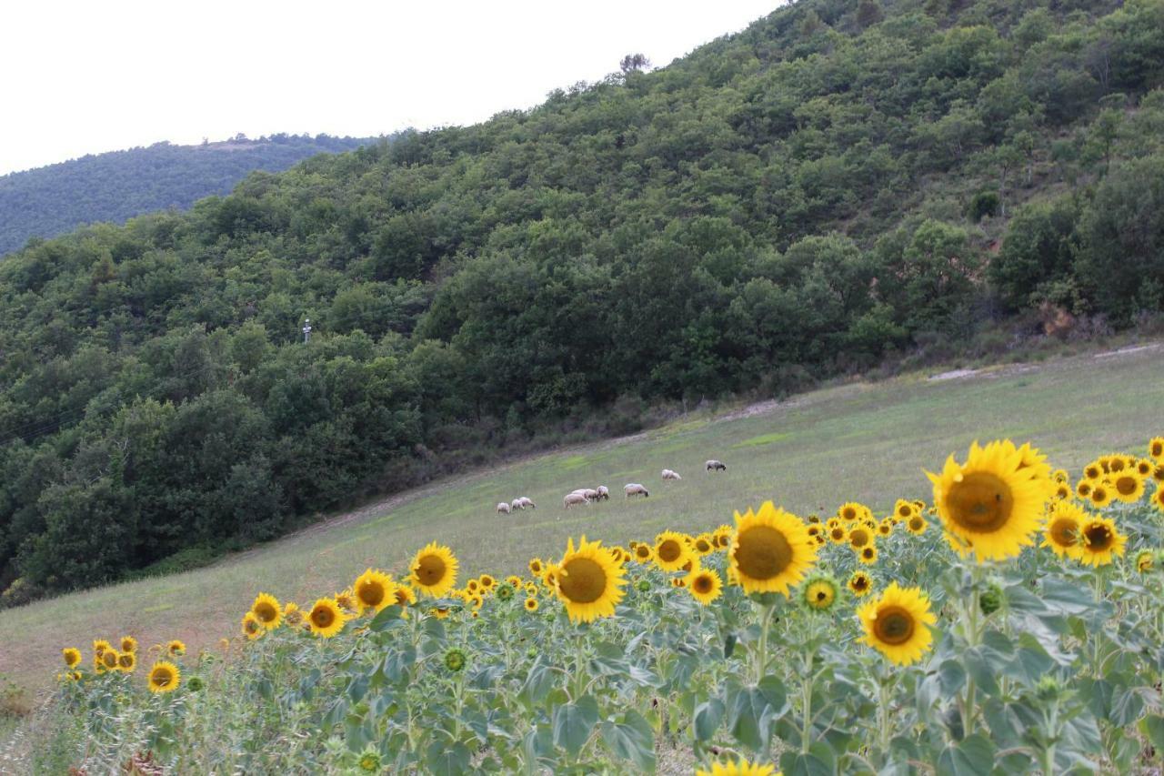 Agriturismo Roccagelli Vallo di Nera Exteriör bild